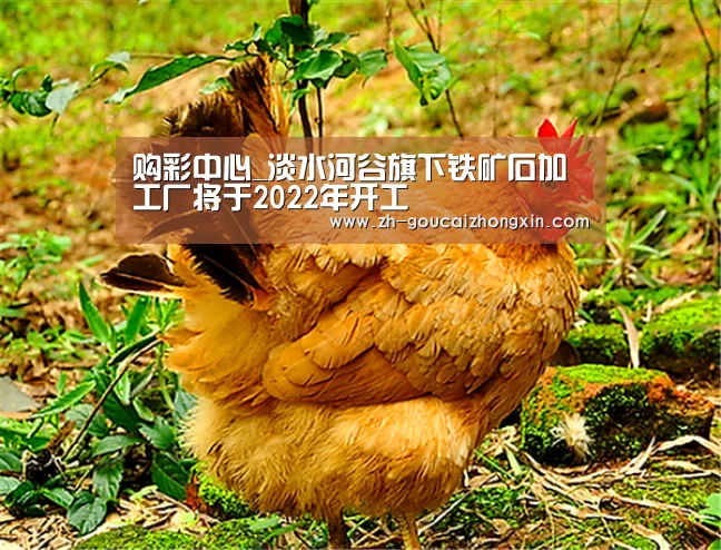 购彩中心