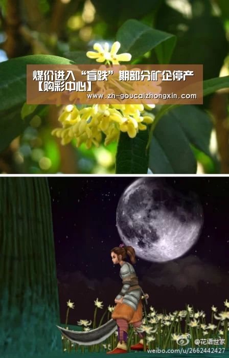 购彩中心