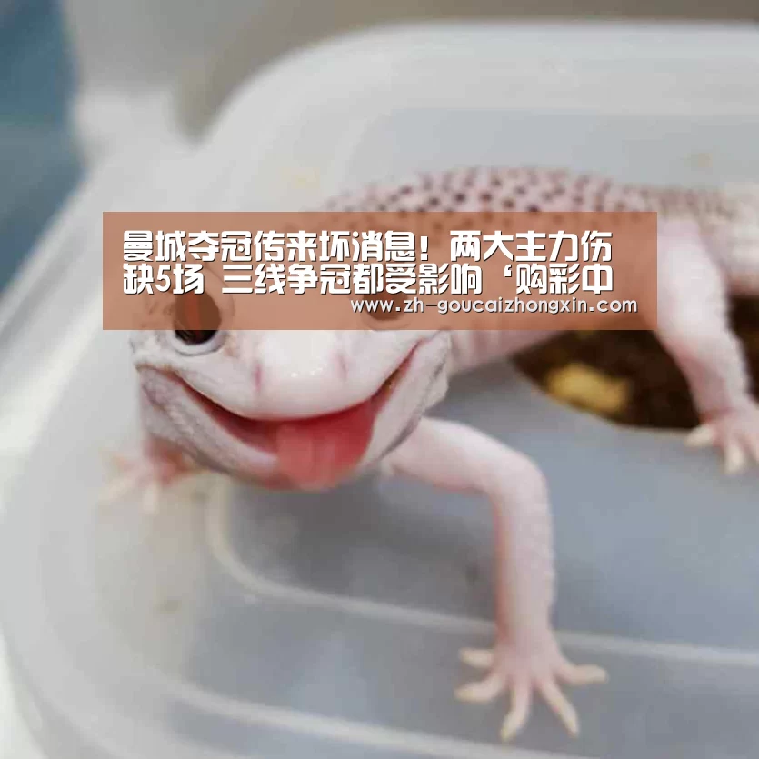 购彩中心