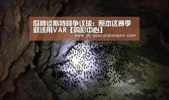 瓜帅谈斯特林争议球:原本这赛季就该用VAR【购彩中心】(图4) 购彩中心
