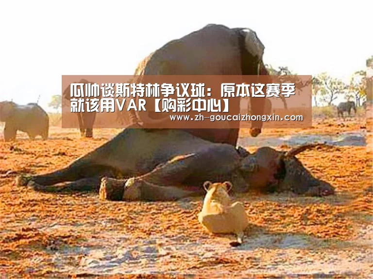 瓜帅谈斯特林争议球:原本这赛季就该用VAR【购彩中心】(图3) 购彩中心
