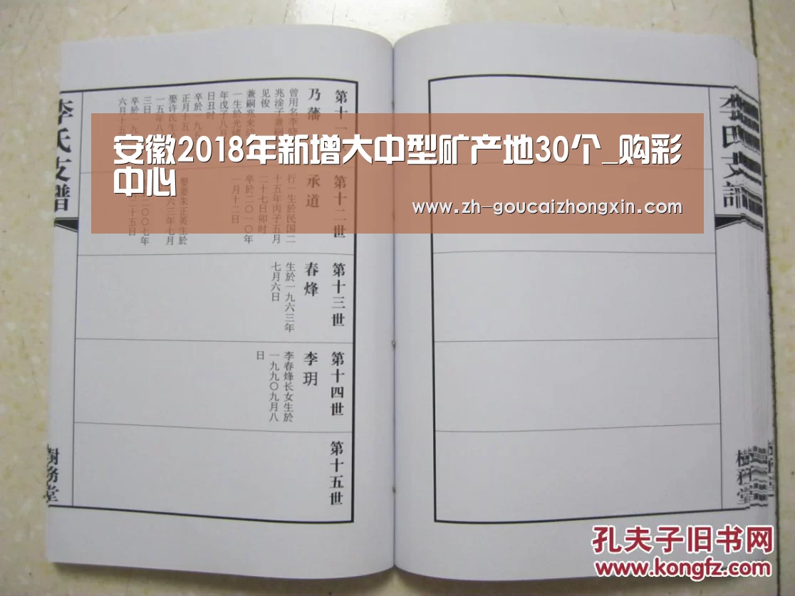 安徽2018年新增大中型矿产地30个_购彩中心(图1) 购彩中心