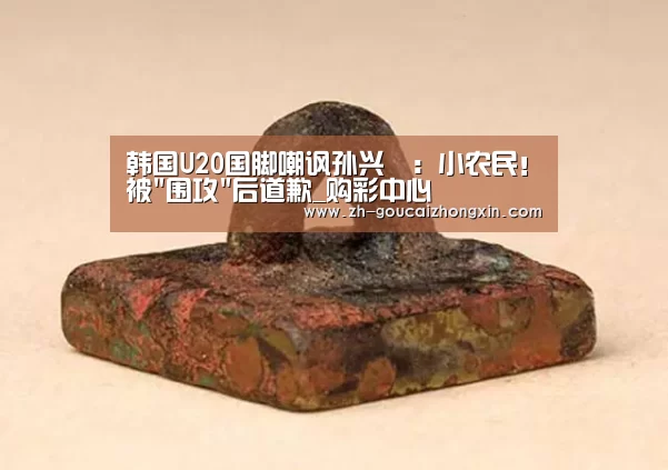 韩国U20国脚嘲讽孙兴慜:小农民!被围攻后道歉_购彩中心(图4) 购彩中心